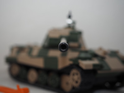 13_tiger2.JPG