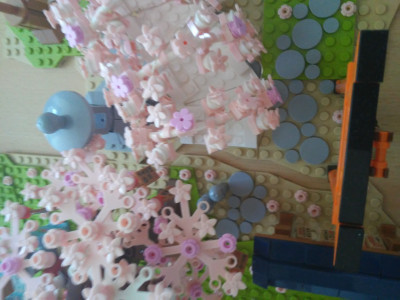 20210528_124923.jpg