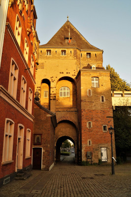 15.jpg