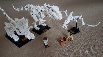 Das fertige Set