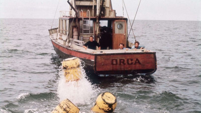 orca.jpg