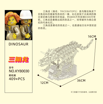 Kazi KY80030 02.jpg