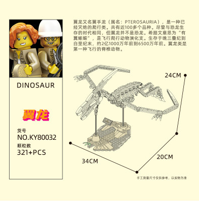 Kazi KY80032 02.jpg