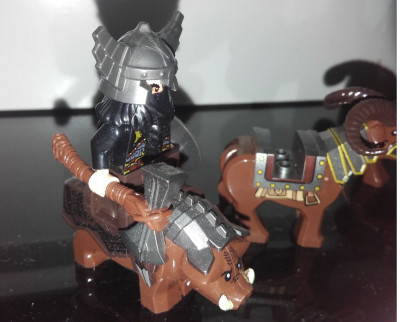 boar.JPG