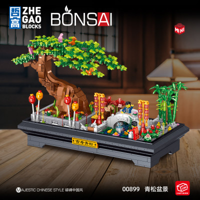Zhe Gao mini 00899 00.jpg