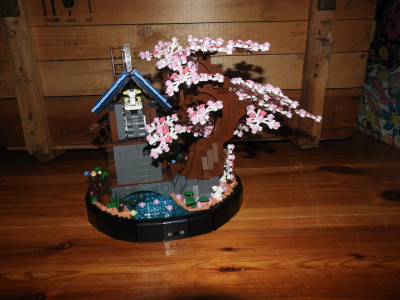 DSCN4225.JPG