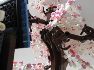 DSCN4246.JPG
