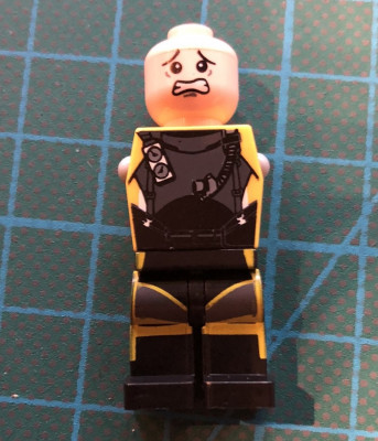 sons_fig.jpg