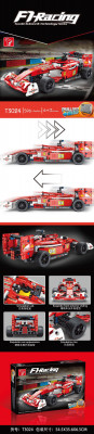 T3024.jpg