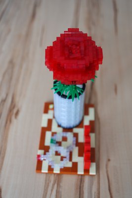 SAM_1212.JPG