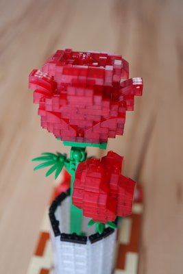 SAM_1213.JPG