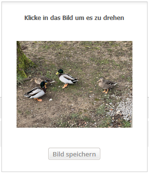 Unbenannt.PNG