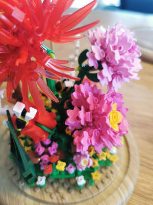 IMG_20220130_095258.jpg