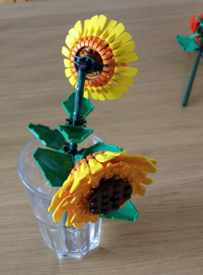 Sonnenblume vorne.jpg