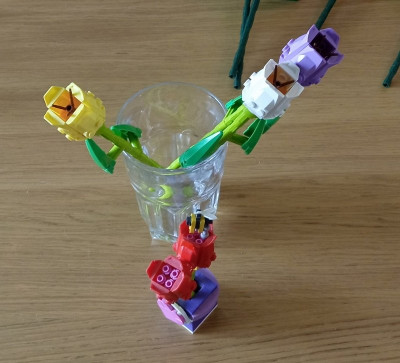 Tulpe oben.jpg