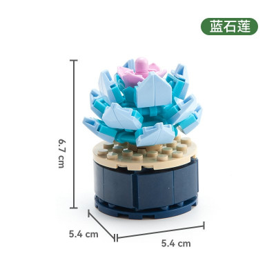 Cayi 2600D - 蓝石莲.jpg