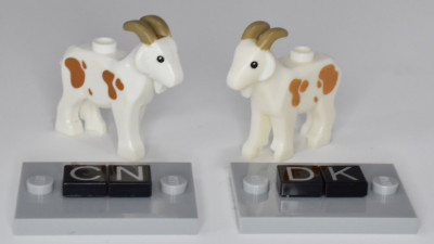 goat_cn-dk_01_jiw.jpg