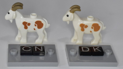 goat_cn-dk_02_jiw.jpg