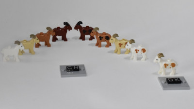goat_cn-dk_06_jiw.jpg