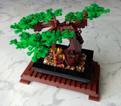 Bonsai.jpg