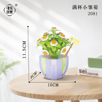 WL 2081 01.jpg