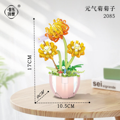 WL 2085 01.jpg