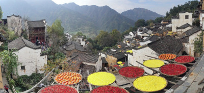 Autumn sun drying.jpg