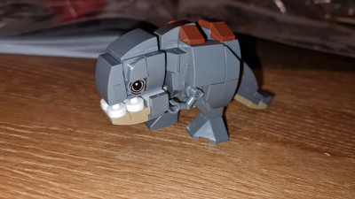 20230124_203233.jpg