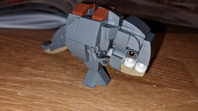 20230124_203239.jpg
