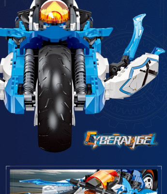 58013g.jpg