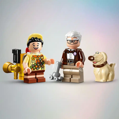 LEGO-Disney-43217-Carls-Haus-aus-Oben-8.png