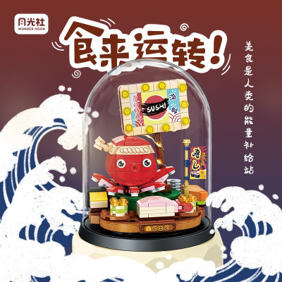 Wonder Moon 804003 01.jpg