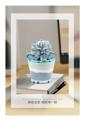 Wonder Moon - Succulent Plants 03.jpg