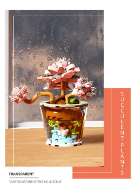 Wonder Moon - Succulent Plants 05.jpg
