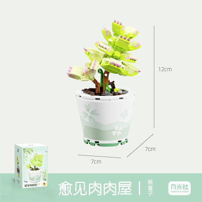 Wonder Moon - Succulent Plants 06.jpg