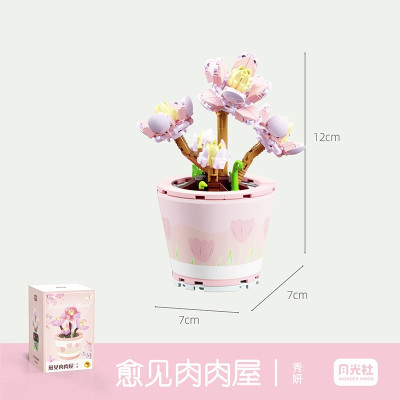 Wonder Moon - Succulent Plants 07.jpg
