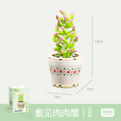 Wonder Moon - Succulent Plants 08.jpg
