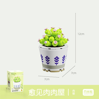 Wonder Moon - Succulent Plants 09.jpg