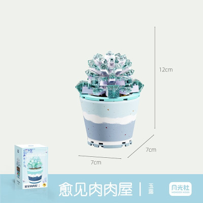 Wonder Moon - Succulent Plants 10.jpg