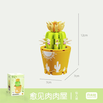 Wonder Moon - Succulent Plants 11.jpg