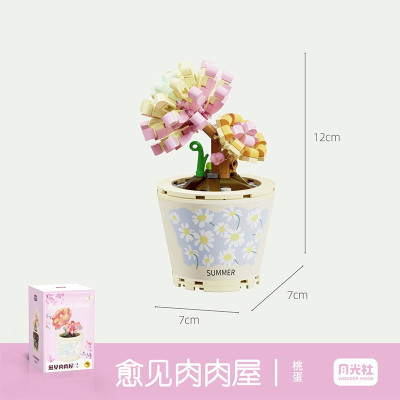 Wonder Moon - Succulent Plants 12.jpg