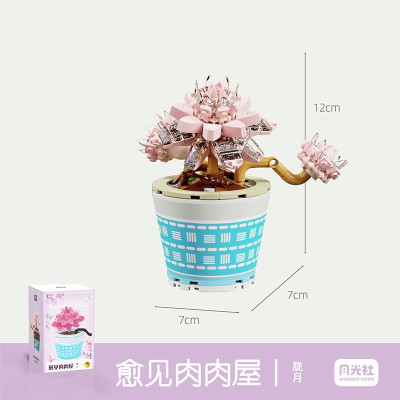 Wonder Moon - Succulent Plants 13.jpg