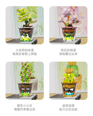 Wonder Moon - Succulent Plants 14.jpg
