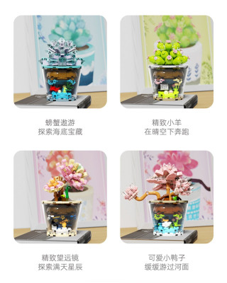 Wonder Moon - Succulent Plants 15.jpg