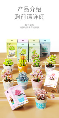 Wonder Moon - Succulent Plants 16.jpg