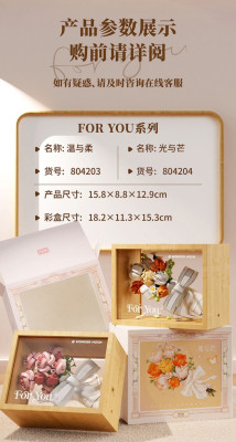 Wonder Moon 804203 & 804204 07.jpg