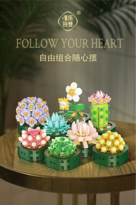 WL - Succulents 01.jpg