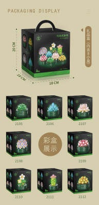 WL - Succulents 02.jpg