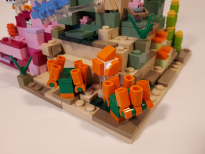 20231004_170037.jpg