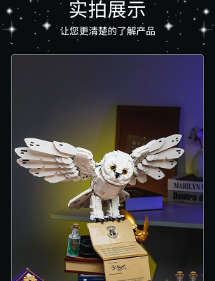 24001j.jpg